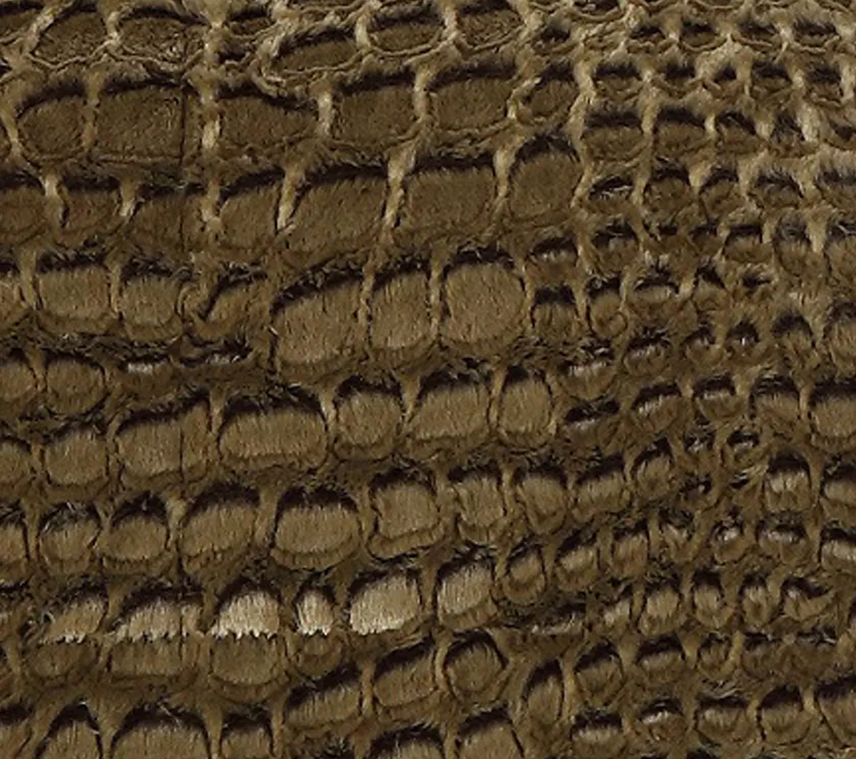 Chic Home Alligator 3-Pc Queen Comforter Set - Image 5