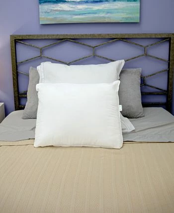 SensorPEDIC Fresh & Clean Ultra-Fresh Antimicrobial Pillows - Standard, 2-Pack - Image 6